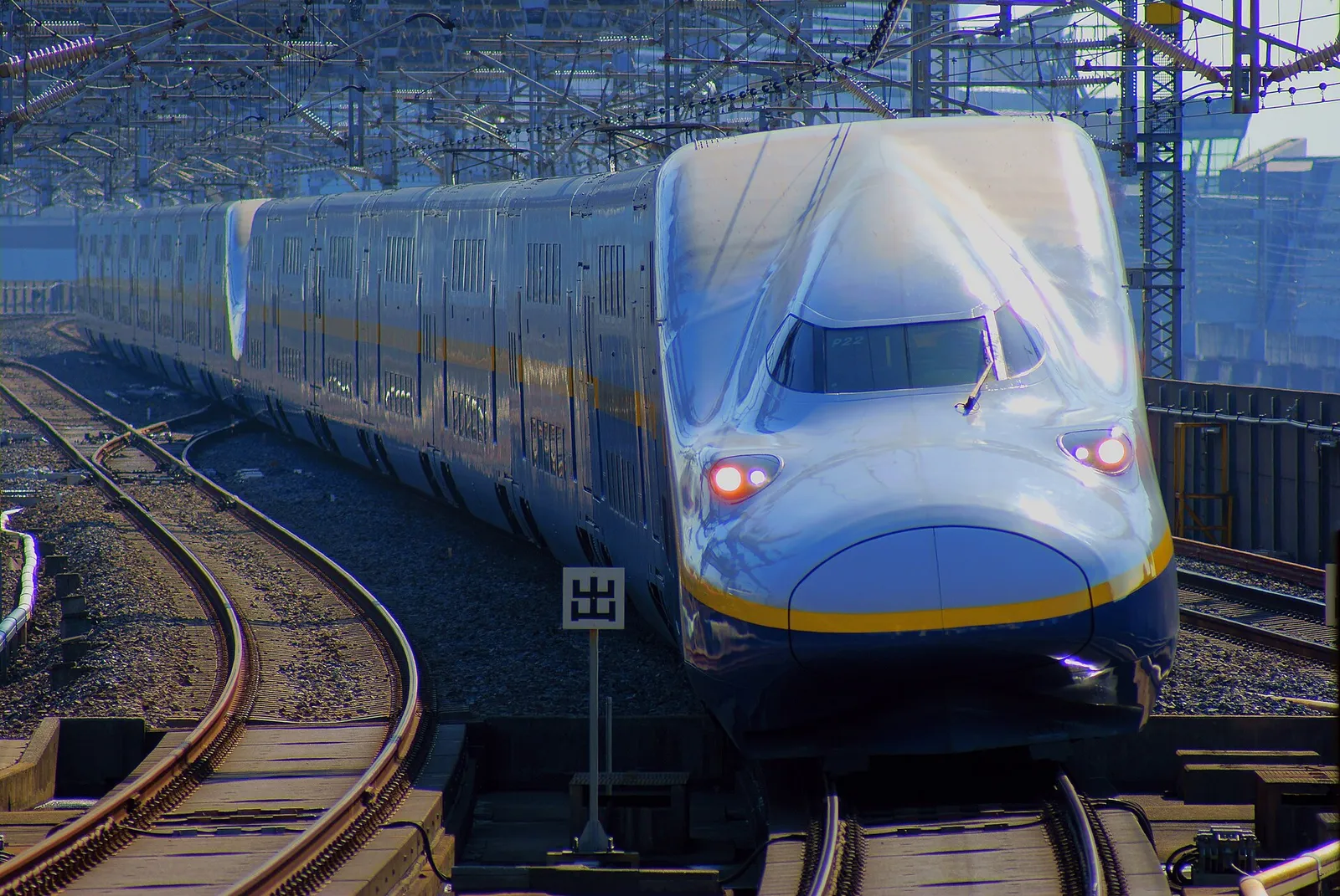 רציף רכבת שינקנסן עמוס בתחנת טוקיו יפן בתקופת חופשה