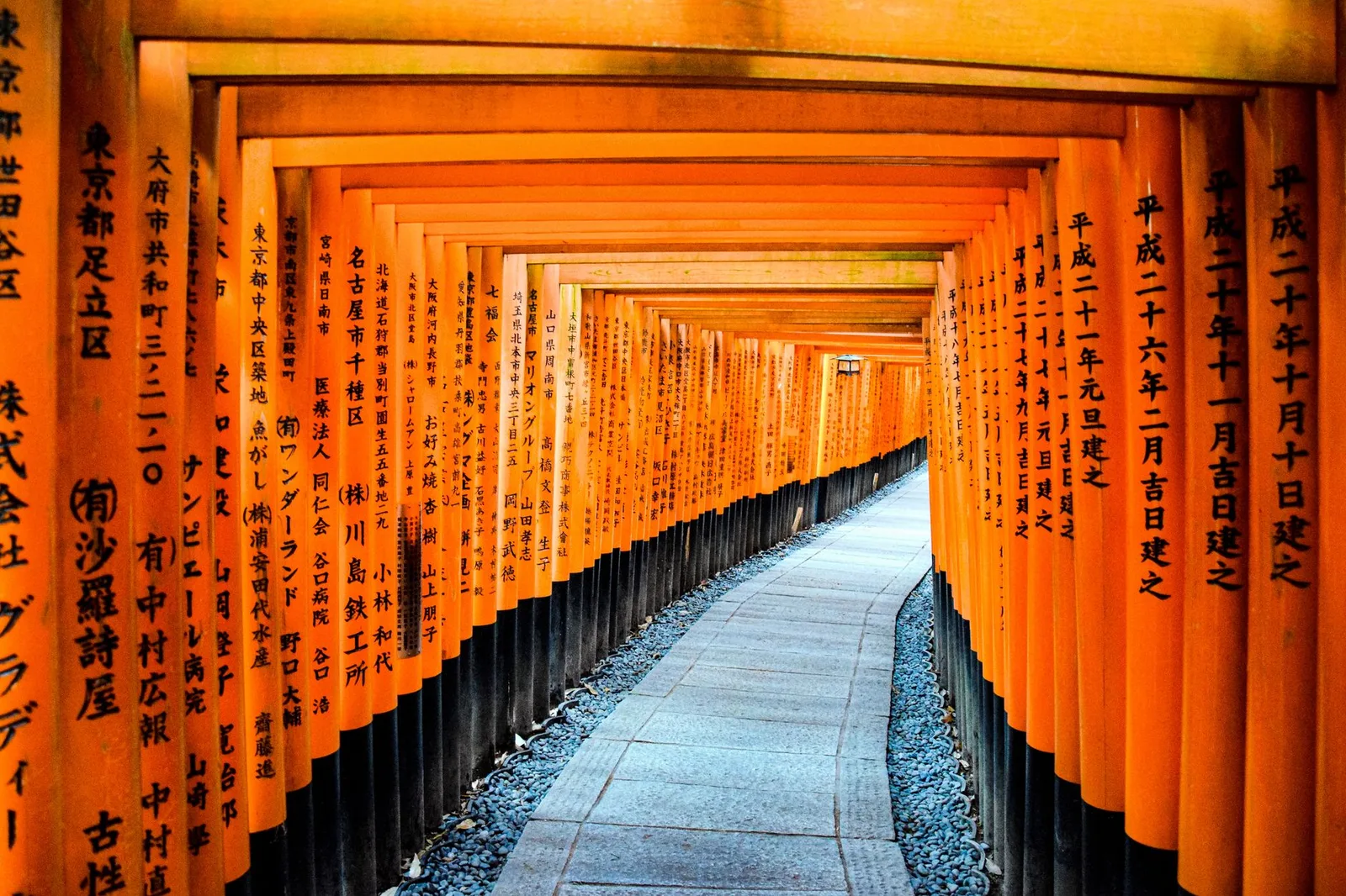 The tunnel of torii gates at Fushimi Inari in Kyoto, Japan