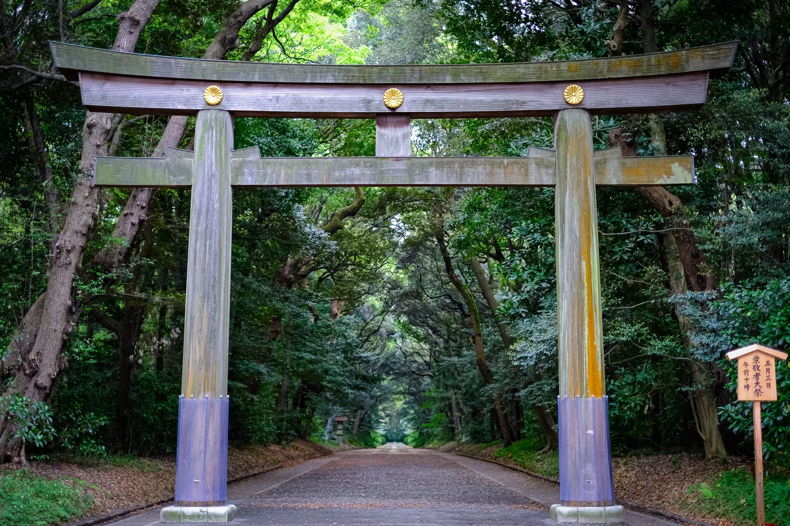 The gravel approach and wooden torii gate leading through the forest to Meiji shrine in Tokyo