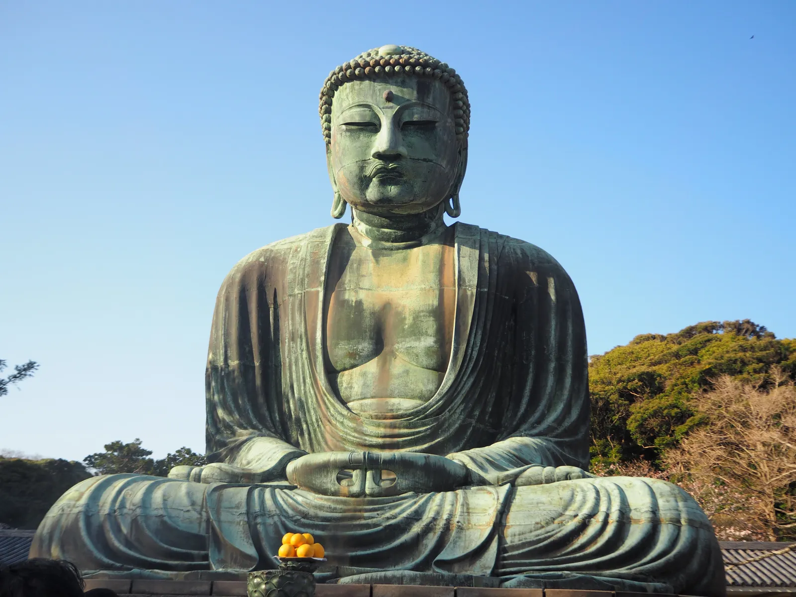 The bronze Great Buddha of Kamakura seen from the temple grounds