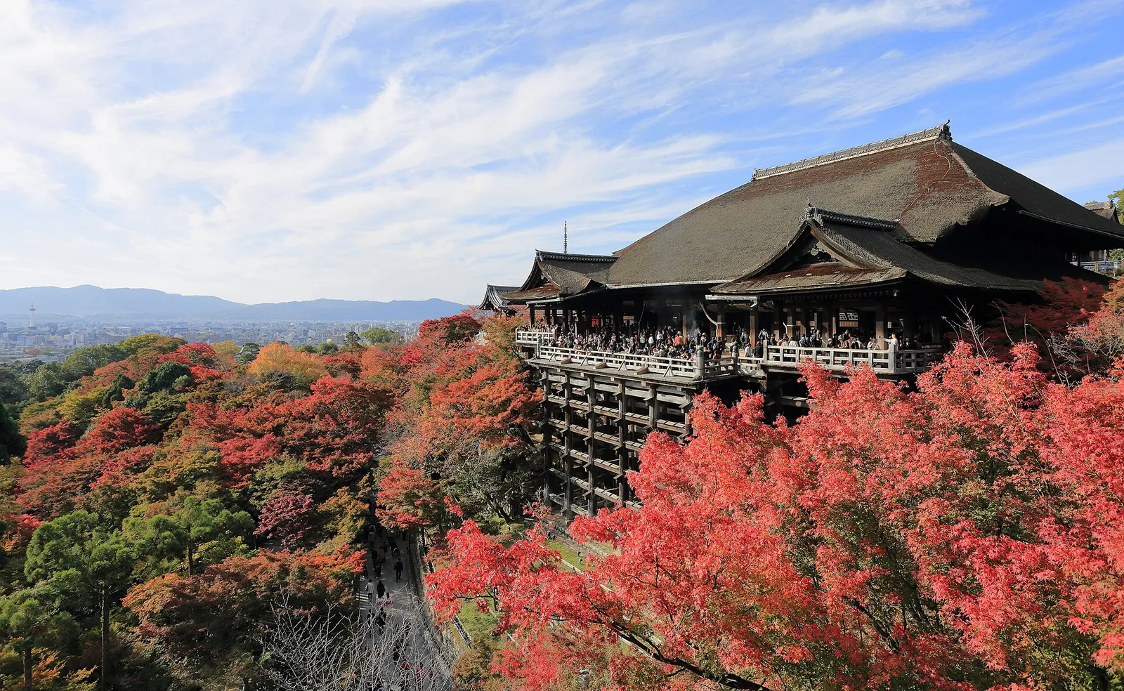 The wooden stage of Kiyomizu-dera temple above autumn trees in Kyoto, Japan, under a clear sky