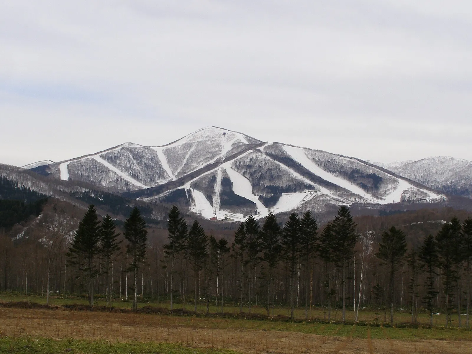 A snow capped mountain with groomed ski runs cut through forest below the summit, Japan
