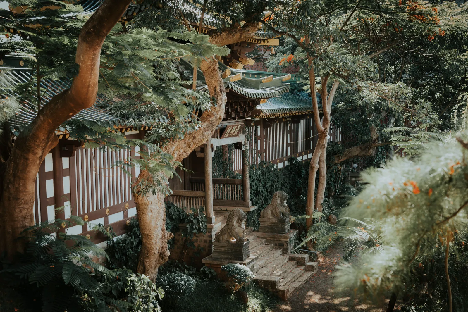 A wooden religious building standing among old trees behind a fence in Japan