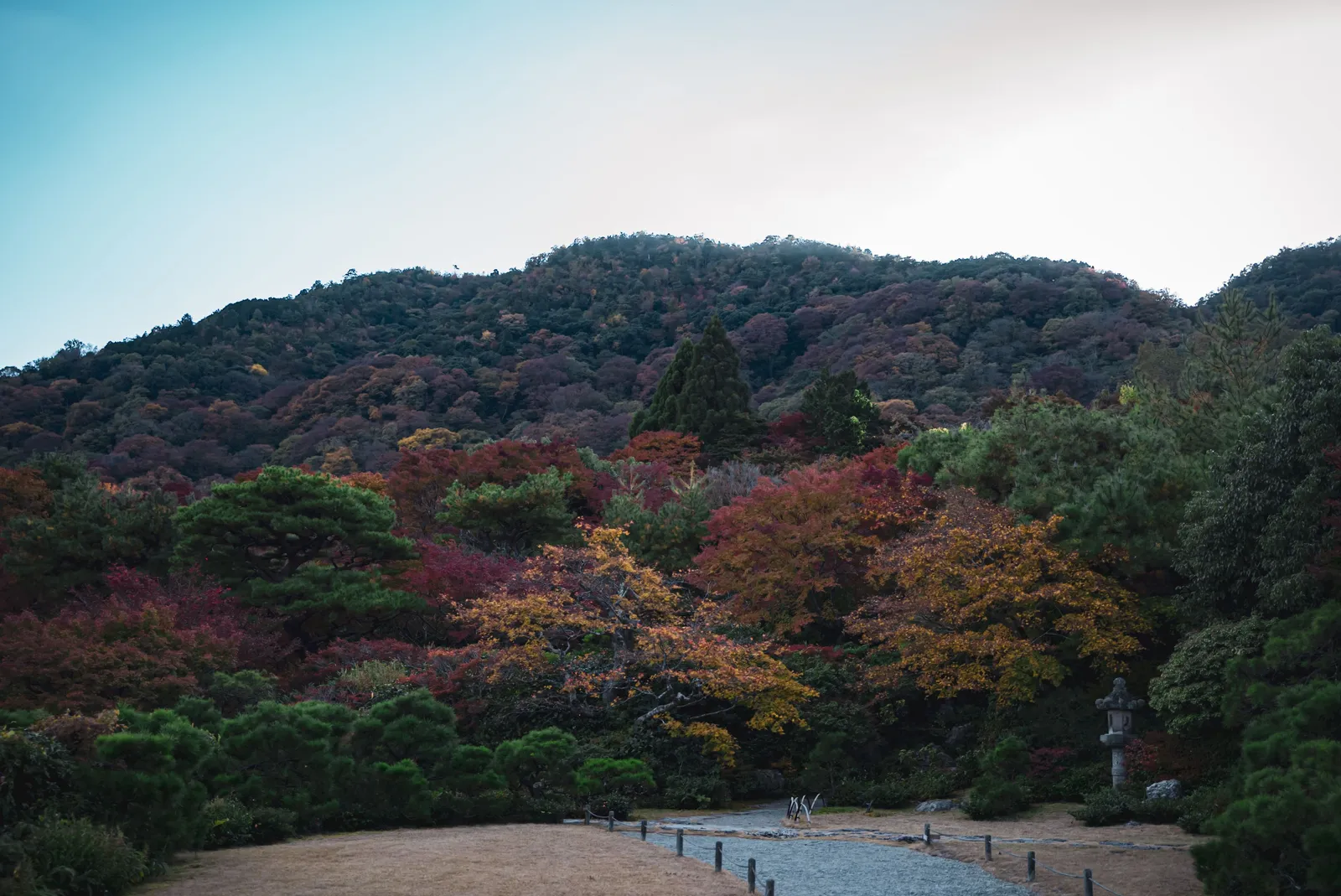 A Japanese landscape with mountains and trees showing seasonal colour