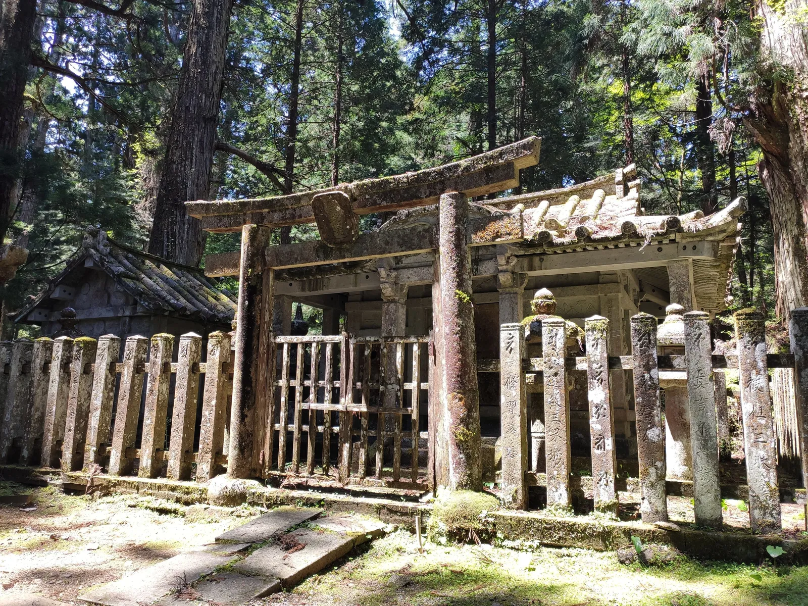 A weathered wooden torii gate and shrine structure among the cedar trees of Koyasan, Japan