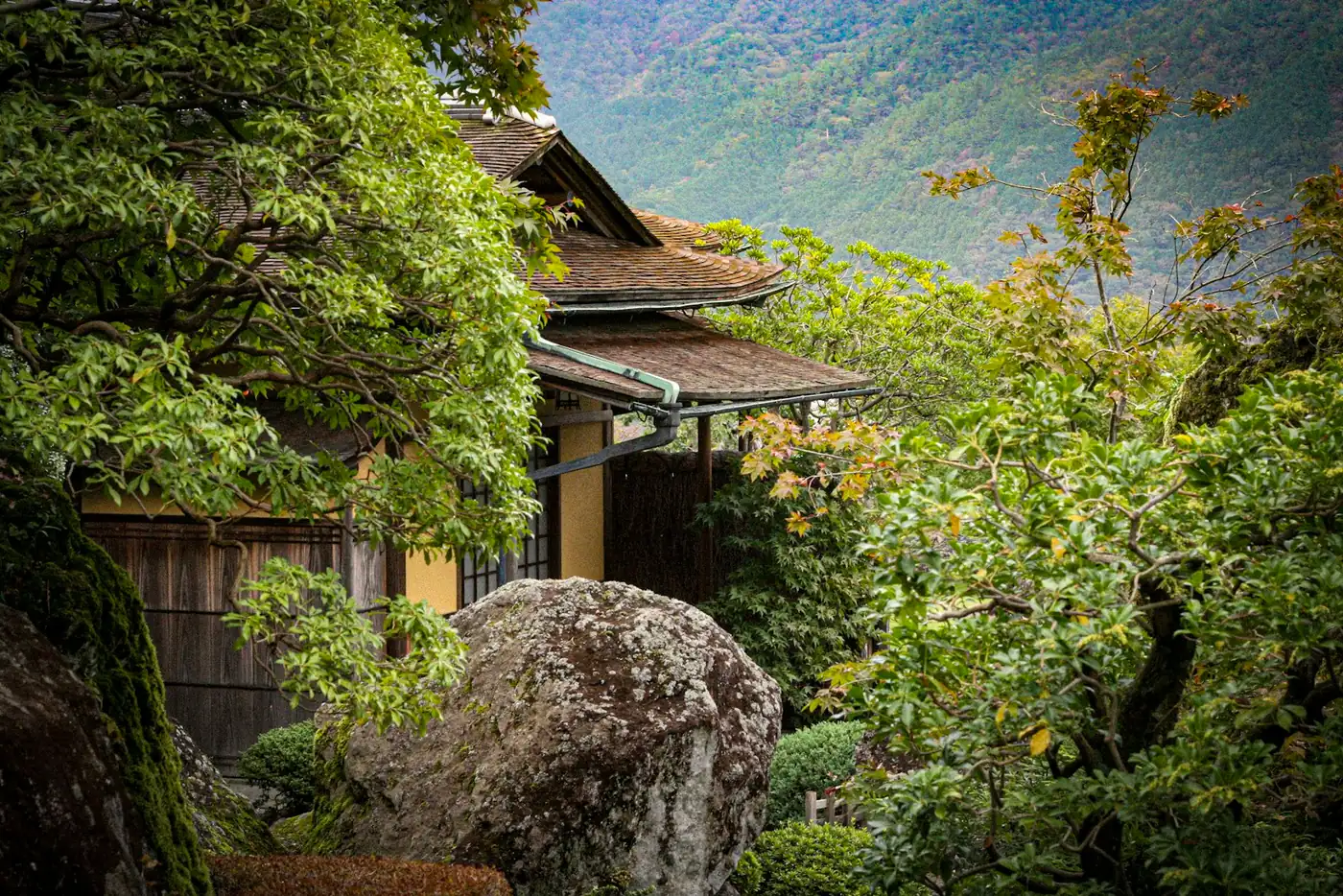 A traditional Japanese wooden ryokan tucked into dense green mountain forest