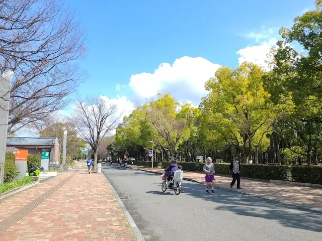 A wide avenue with trees on both sides, pedestrians and a cyclist