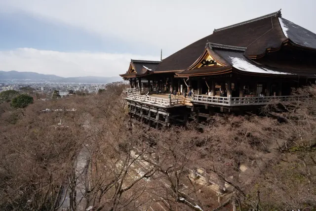 A wooden stage on tall pillars on a wooded hillside