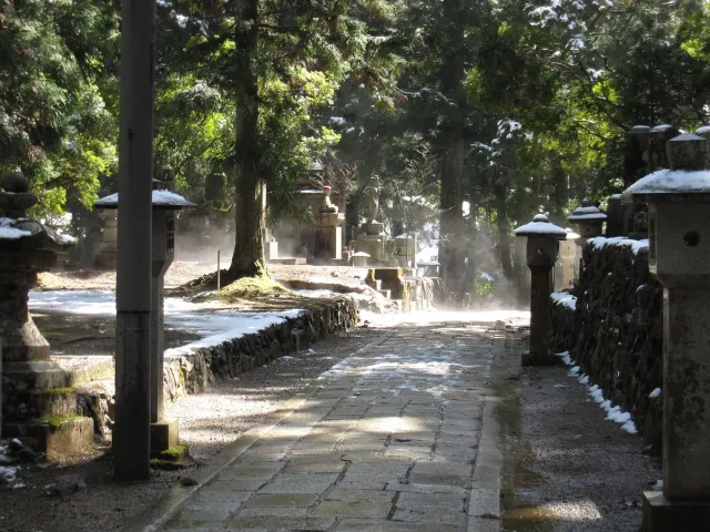 A misty stone path between tall cedar trees and stone monuments