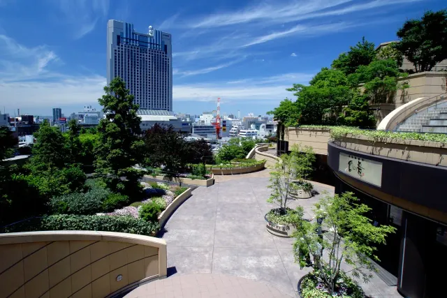 A terraced rooftop garden with greenery and city towers behind