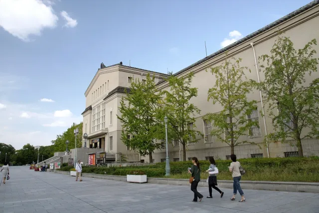 A pale stone museum building with a tree-lined path in front