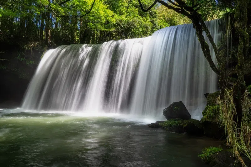 A wide, low waterfall dropping from a rock shelf into green forest, with a pool below