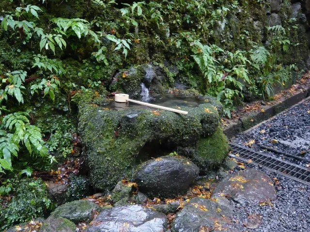 A stone water basin among moss-covered rocks in a forest