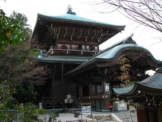 A wooden temple hall with a dark curved roof among trees