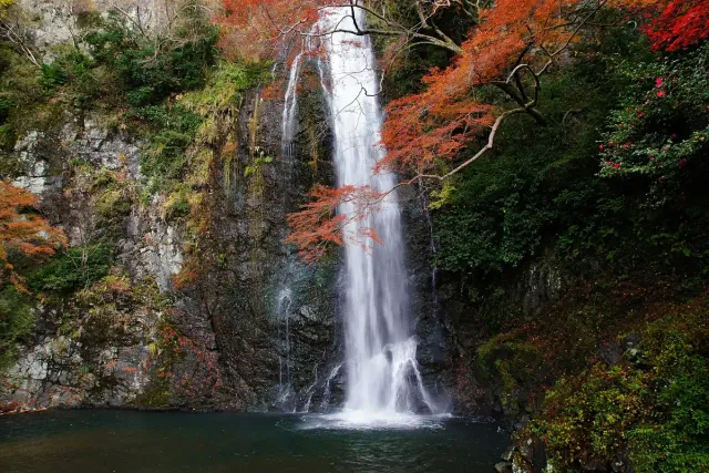 A narrow waterfall dropping into a pool, framed by red autumn trees