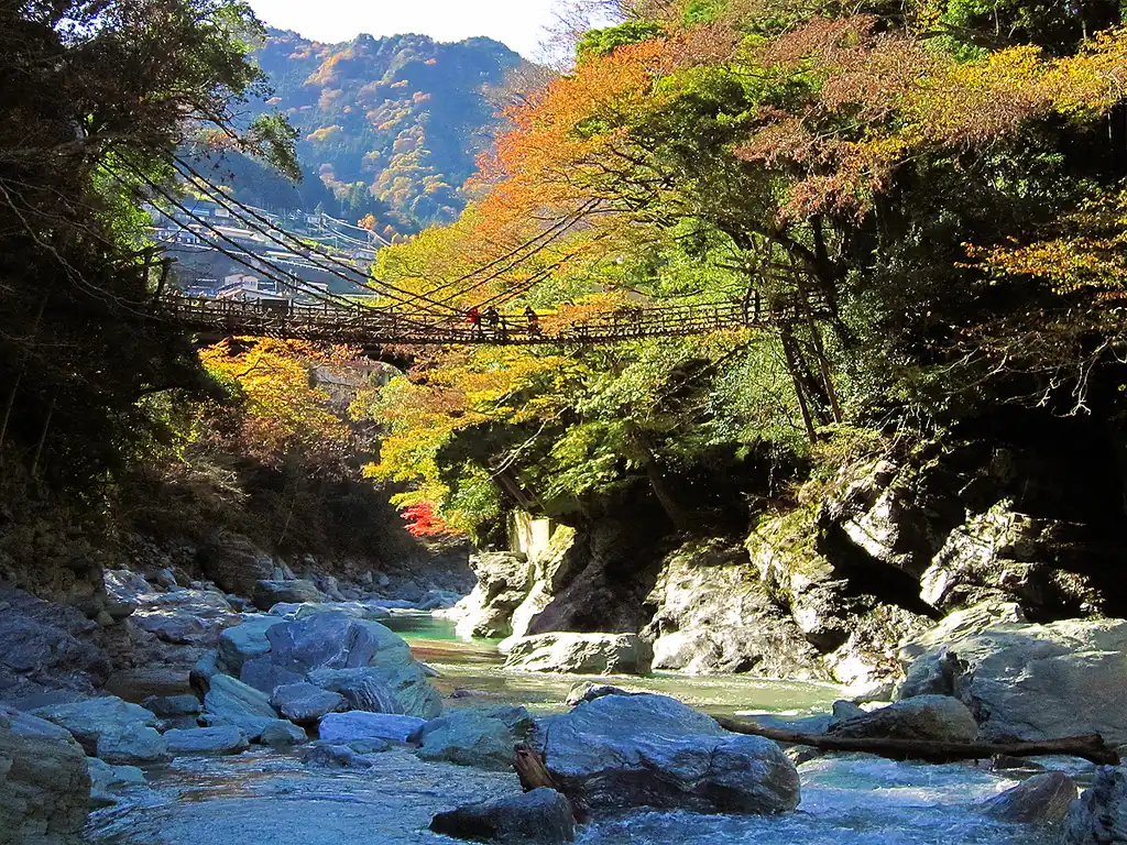 A vine suspension bridge crossing a narrow gorge with a river and rocks below, surrounded by autumn colored trees