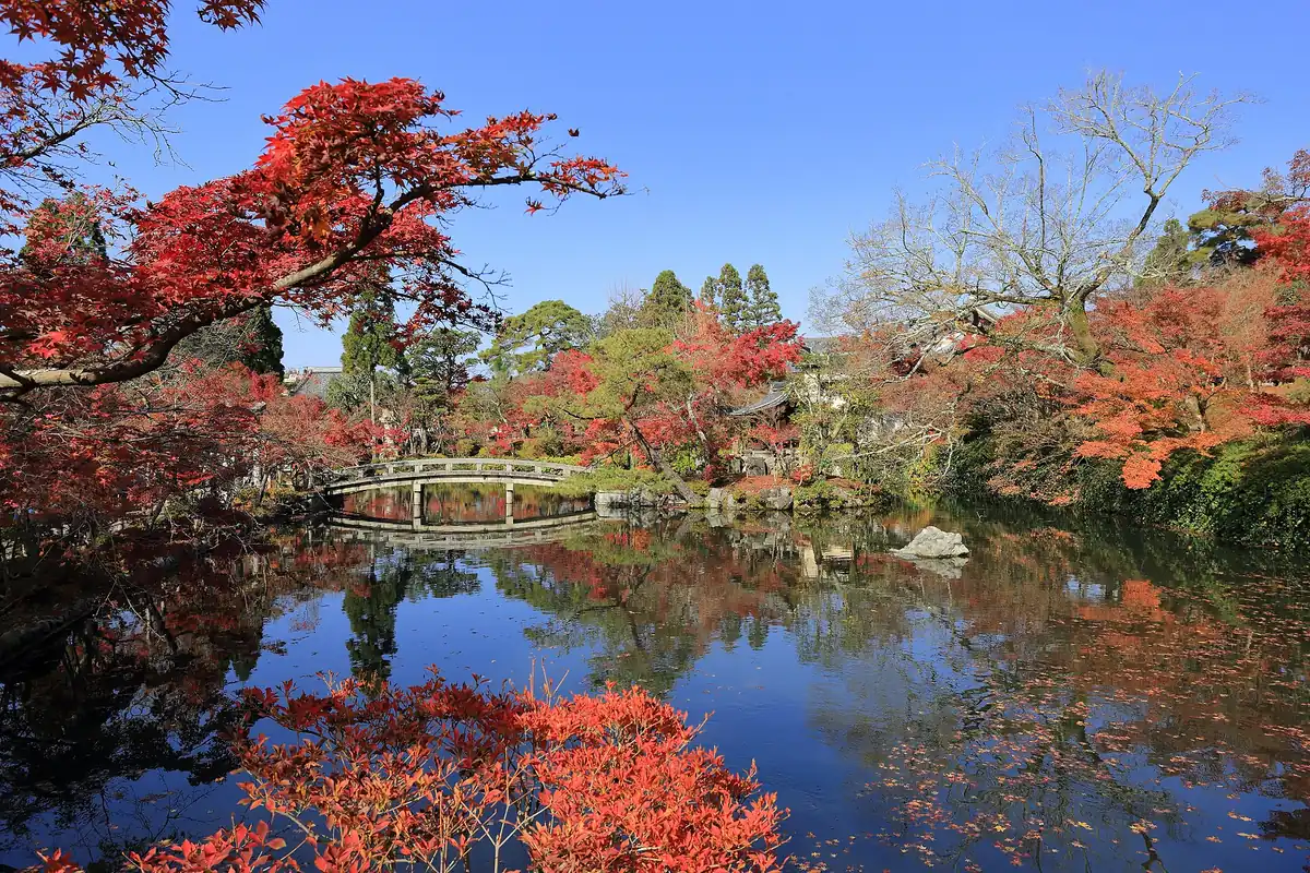 A still pond reflecting red maple trees and an arched stone bridge under a blue sky