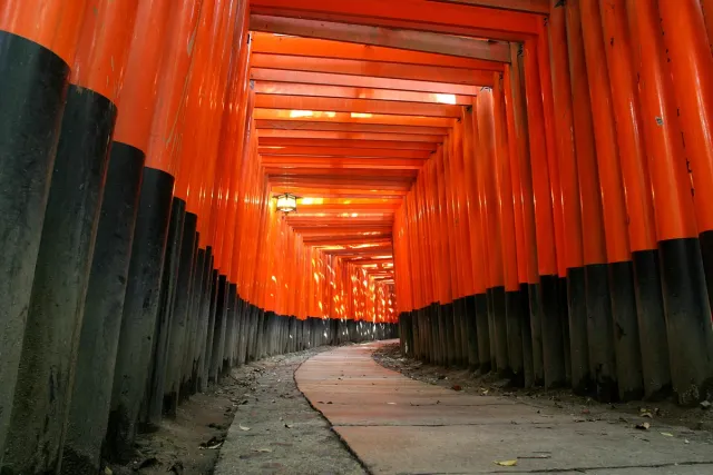 A tunnel of densely packed orange torii gates along a rising path