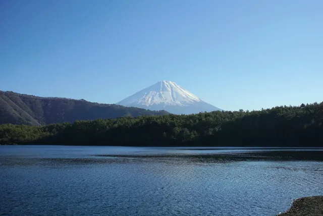 A calm blue lake in front of a green forest, with a snowcapped mountain above under clear skies