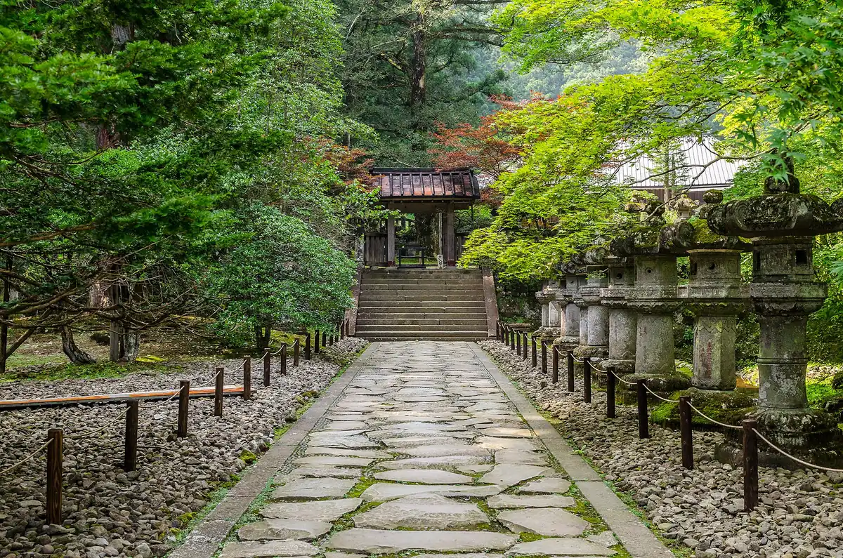 A stone path rising to a wooden gate between rows of moss covered stone lanterns and green maple trees