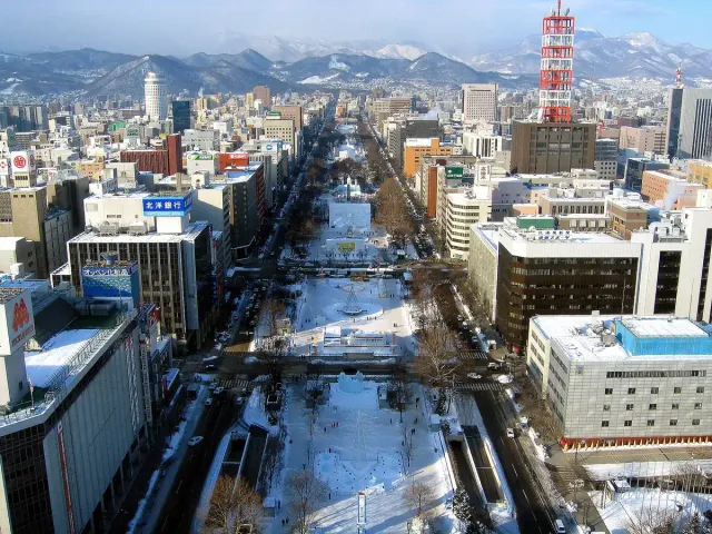 A long strip of parkland cutting through the city in winter, seen from above