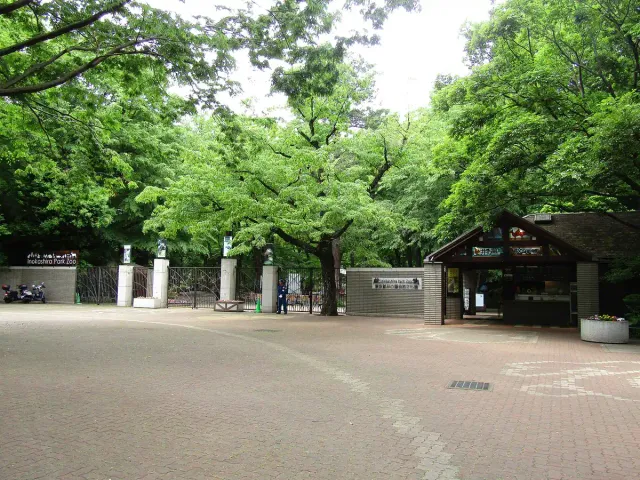 A shaded entrance gate at the end of a dense green avenue of trees