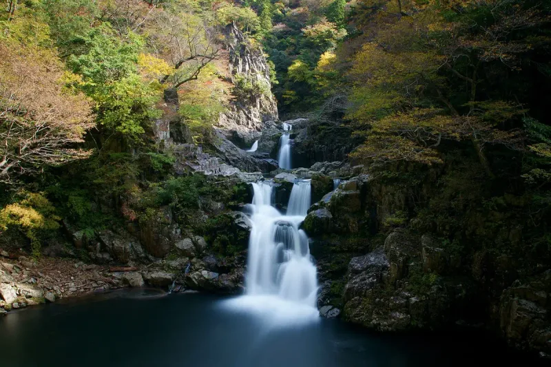A tiered waterfall dropping between rocks into a green pool, surrounded by dense forest