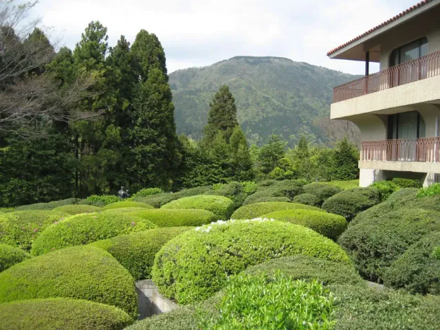 A garden of rounded clipped hedges facing a forested mountain ridge