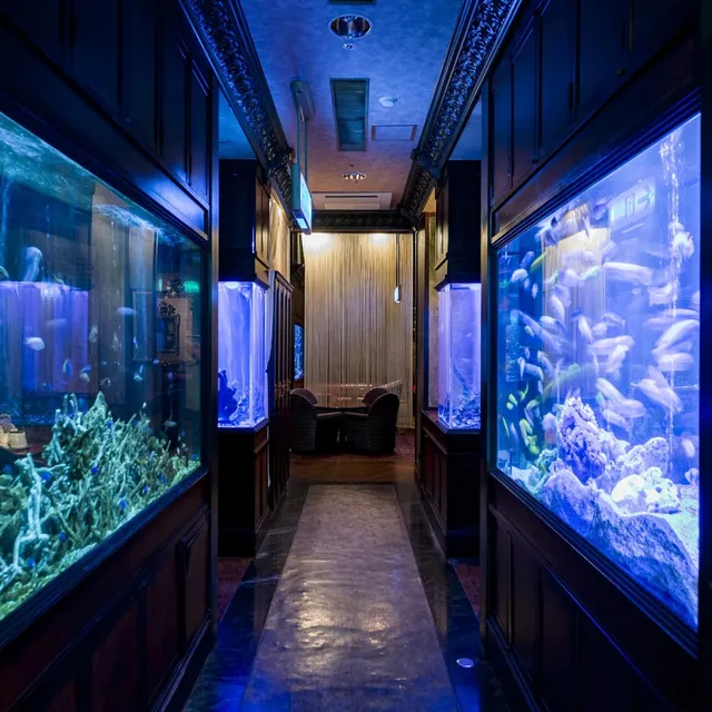 A corridor between lit aquariums with fish and corals, leading to a seating corner
