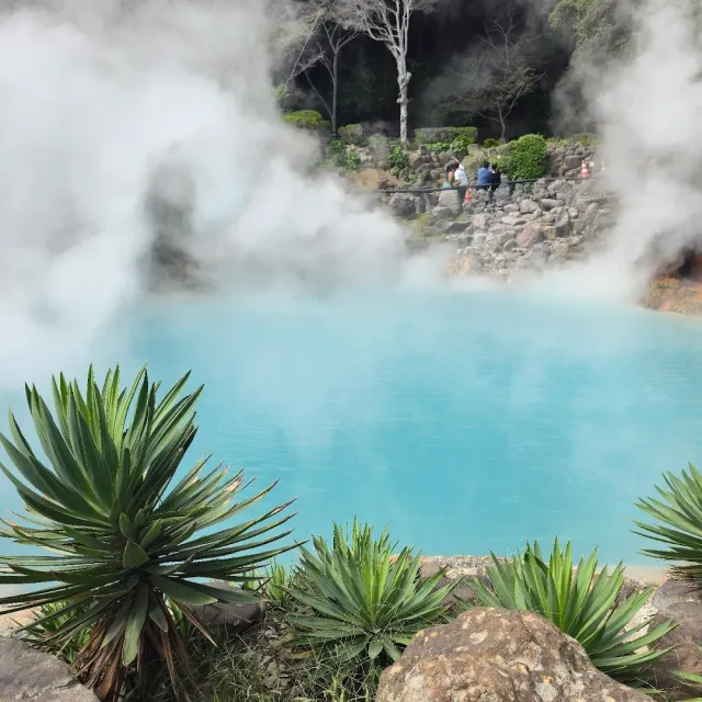 A steaming turquoise pool surrounded by rocks, agave plants in the foreground and visitors at the railing