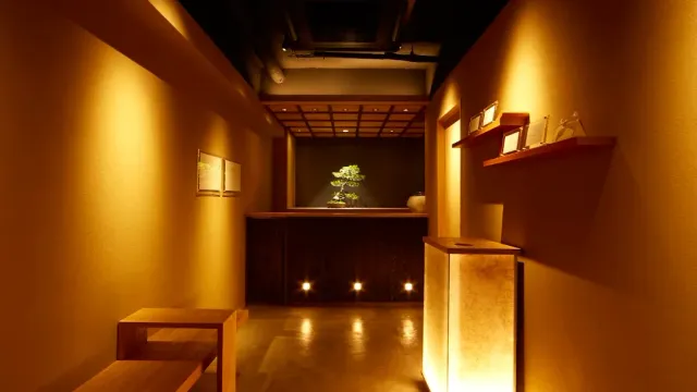 A narrow corridor in warm light, with a lit bonsai tree on a dark counter at its end