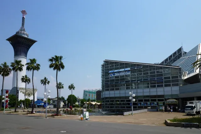 A lawn with palm trees and an observation tower behind