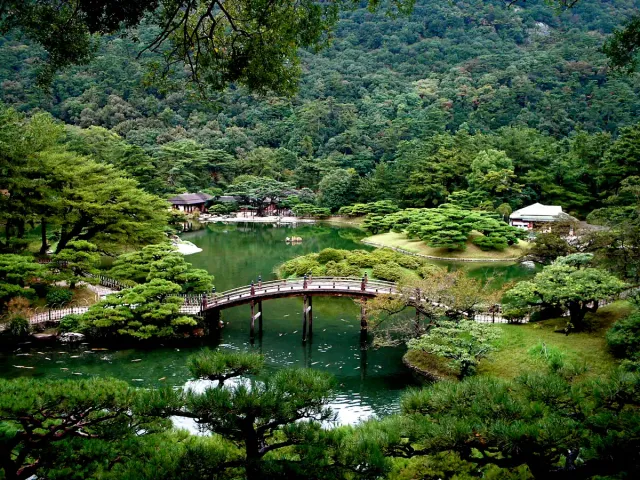 An arched wooden bridge over a garden pond, among pines and a green hill