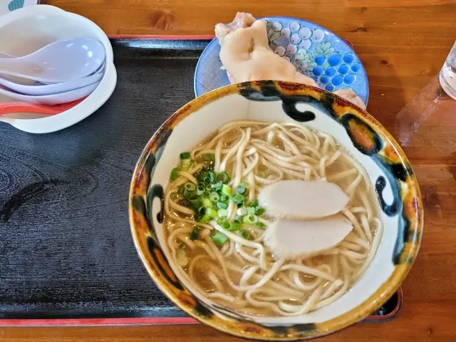 A painted bowl with thick noodles in clear broth, slices of meat and spring onion, on a tray