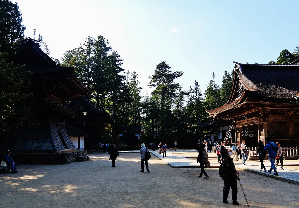 A wide gravel courtyard between wooden temple halls with curved roofs and tall cedars behind