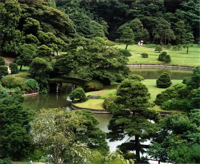 A landscape garden of lawns, shaped shrubs and trees, seen from above