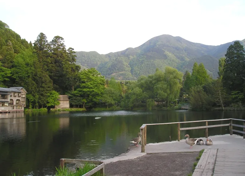 A small, still lake with a wooden walkway on its bank, green trees and a mountain behind