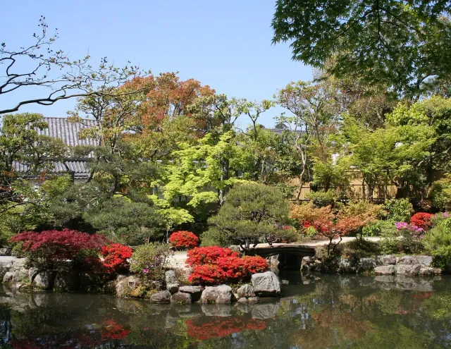 A garden pond ringed by trees and shrubs, with a wooden building at the far end