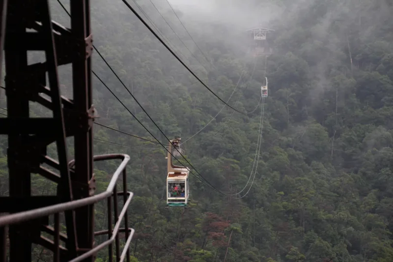 A ropeway cabin hanging from a cable above a dense forest slope, with a steel pylon in front