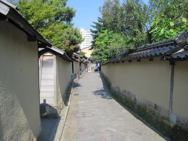 A narrow lane between earthen walls and wooden fences