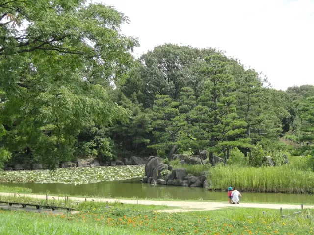 A broad lawn with a lake and pine trees behind