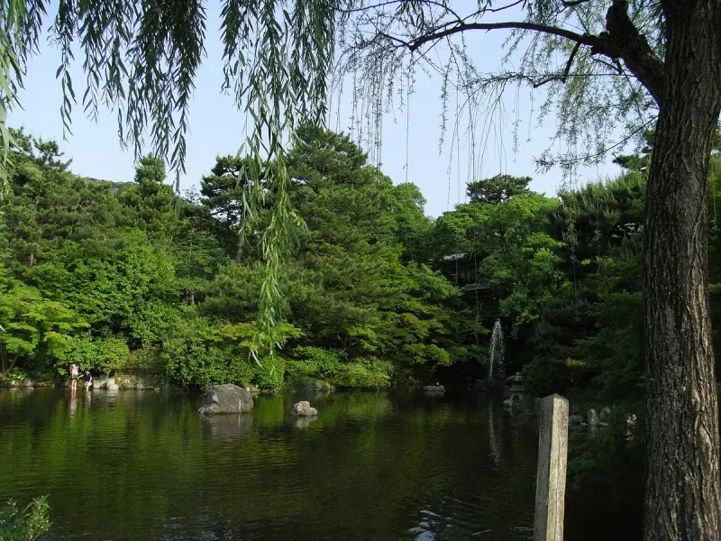 A green pond in a Japanese garden with trailing willow branches, large stones set in the water and a thin fountain jet behind