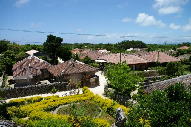 Low village houses with red tiled roofs among trees, sea behind