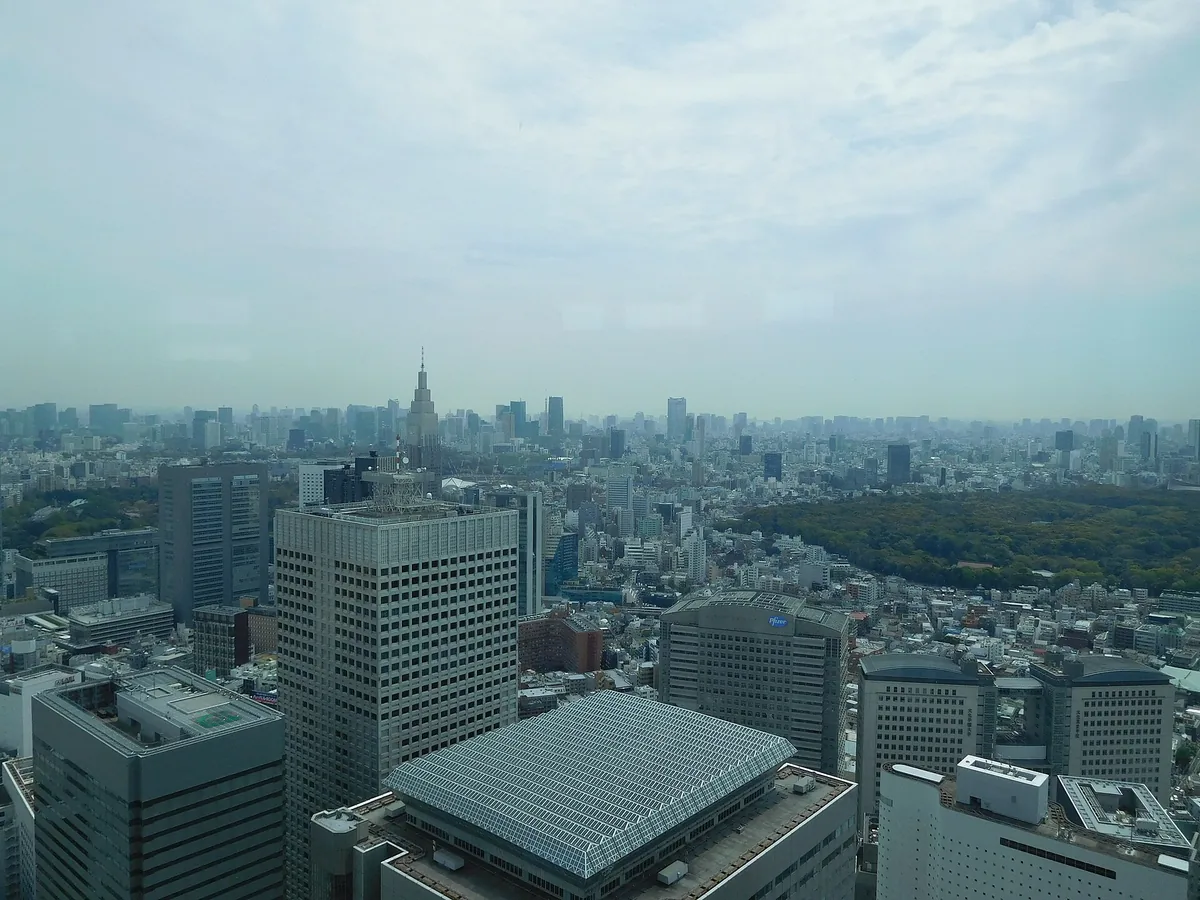 A high view over a sea of city buildings to the horizon, with a patch of green forest to the right