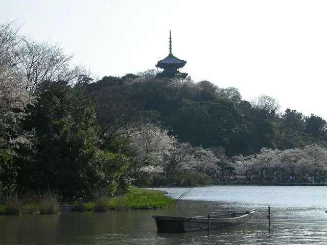 A pagoda on a wooded hill across a pond, with cherry trees in bloom