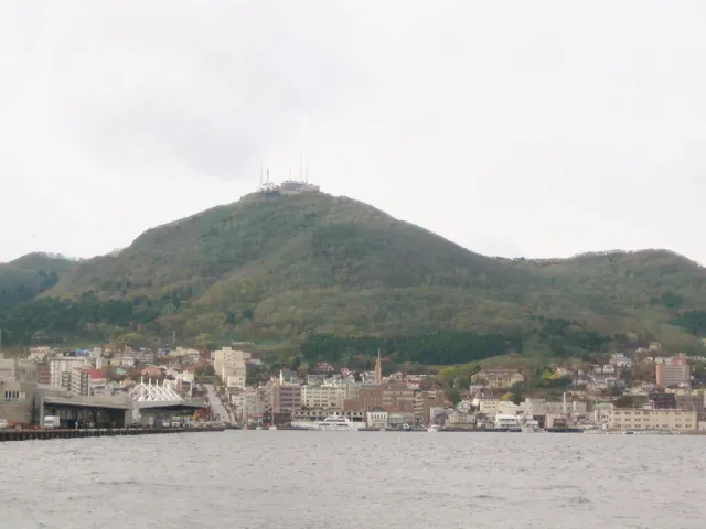 A forested mountain above a port city, seen from a distance