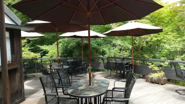 A wooden deck with open parasols, metal tables and chairs, and green forest all around