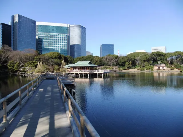 A wooden bridge to a tea pavilion on a lake, with office towers behind