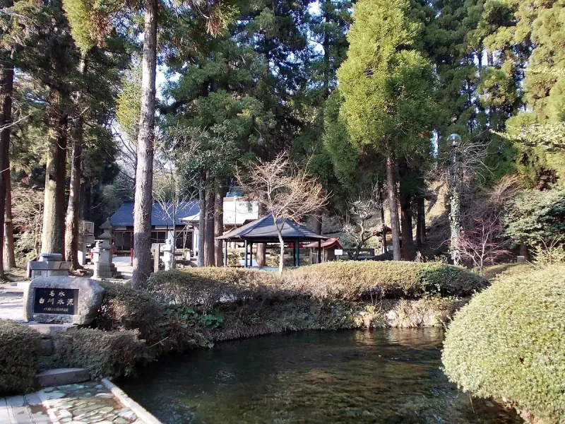 A pool of clear spring water with a wooden pavilion on its bank and tall trees around